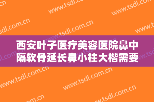 西安叶子医疗美容医院鼻中隔软骨延长鼻小柱大楷需要多少钱?可靠吗?