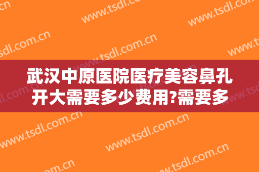 武汉中原医院医疗美容鼻孔开大需要多少费用?需要多久恢复?