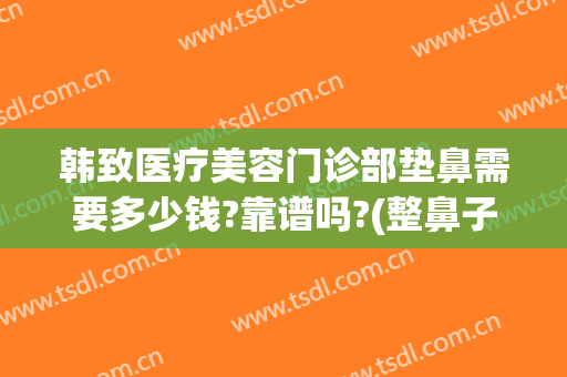 韩致医疗美容门诊部垫鼻需要多少钱?靠谱吗?(整鼻子的费用)
