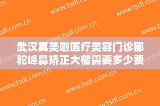 武汉真美啦医疗美容门诊部驼峰鼻矫正大楷需要多少费用?需要多久恢复?