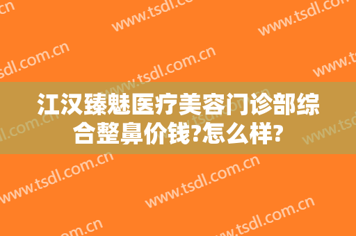 江汉臻魅医疗美容门诊部综合整鼻价钱?怎么样?