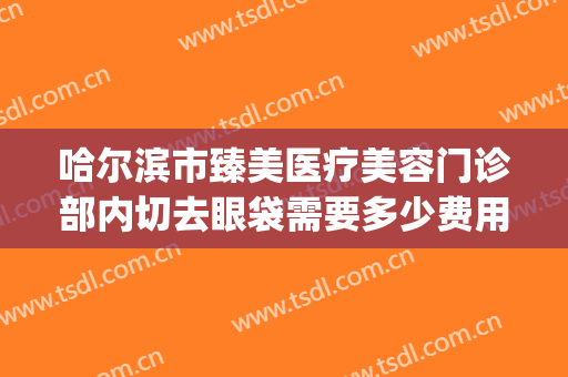 哈尔滨市臻美医疗美容门诊部内切去眼袋需要多少费用?效果怎么样?(哈尔滨哪家美容院做去除眼袋)