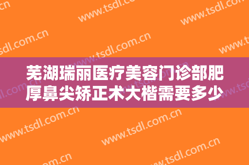 芜湖瑞丽医疗美容门诊部肥厚鼻尖矫正术大楷需要多少钱?效果怎么样?
