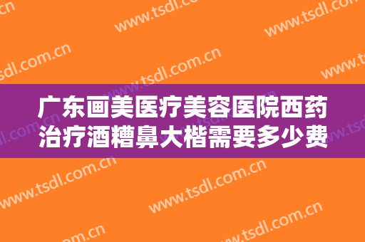 广东画美医疗美容医院西药治疗酒糟鼻大楷需要多少费用?有哪些优势?