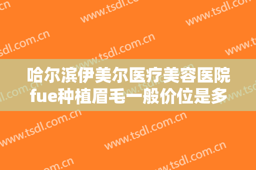 哈尔滨伊美尔医疗美容医院fue种植眉毛一般价位是多少钱?有哪些优势?