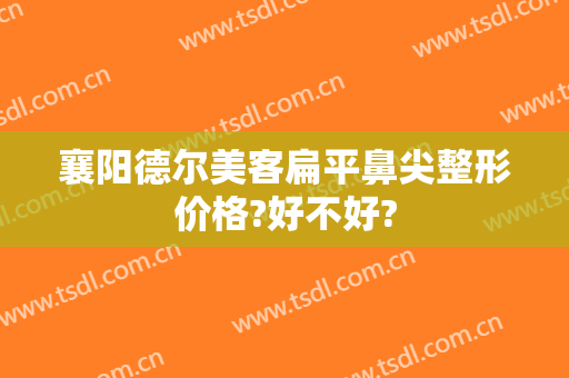 襄阳德尔美客扁平鼻尖整形价格?好不好?