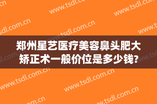 郑州星艺医疗美容鼻头肥大矫正术一般价位是多少钱?效果怎么样?(艺星医美整形)
