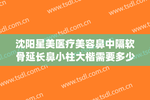 沈阳星美医疗美容鼻中隔软骨延长鼻小柱大楷需要多少费用?怎么样?(沈阳鼻部整形好的医院)