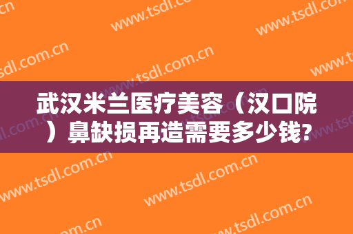 武汉米兰医疗美容（汉口院）鼻缺损再造需要多少钱?效果怎么样?