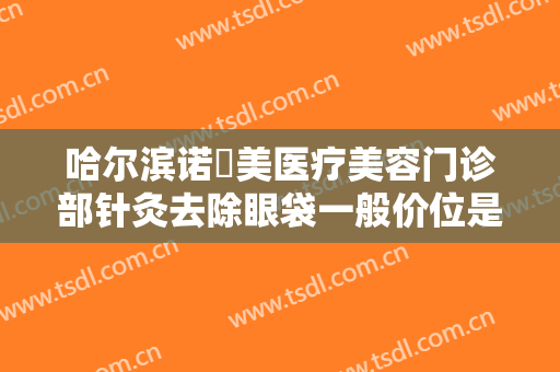 哈尔滨诺嬄美医疗美容门诊部针灸去除眼袋一般价位是多少钱?效果怎么样?