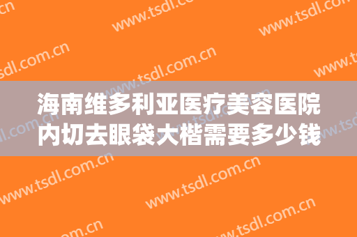 海南维多利亚医疗美容医院内切去眼袋大楷需要多少钱?有哪些优势?(切眼袋哪个医院做得好)