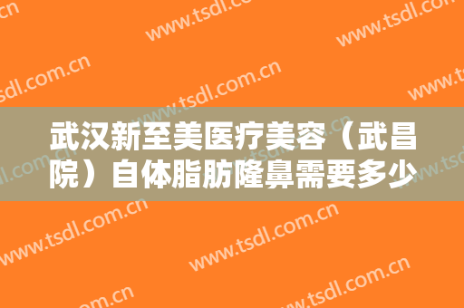 武汉新至美医疗美容（武昌院）自体脂肪隆鼻需要多少钱?多长时间恢复?
