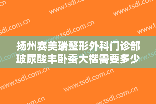 扬州赛美瑞整形外科门诊部玻尿酸丰卧蚕大楷需要多少钱?贵不贵?