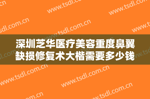深圳芝华医疗美容重度鼻翼缺损修复术大楷需要多少钱?贵不贵?