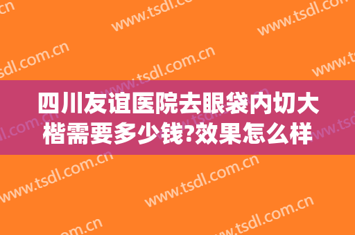 四川友谊医院去眼袋内切大楷需要多少钱?效果怎么样?(友谊医院做眼袋好吗)