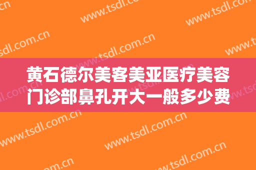 黄石德尔美客美亚医疗美容门诊部鼻孔开大一般多少费用?靠谱吗?(excel输入前面字母即可显示之前输入过的信息)