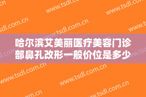哈尔滨艾美丽医疗美容门诊部鼻孔改形一般价位是多少钱?好不好?