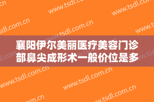 襄阳伊尔美丽医疗美容门诊部鼻尖成形术一般价位是多少费用?好不好?