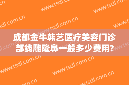 成都金牛韩艺医疗美容门诊部线雕隆鼻一般多少费用?有哪些优势?(成都韩艺整形医院)