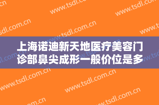 上海诺迪新天地医疗美容门诊部鼻尖成形一般价位是多少钱?怎么样?