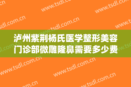 泸州紫荆杨氏医学整形美容门诊部微雕隆鼻需要多少费用?好不好?(荆州做隆鼻的费用)