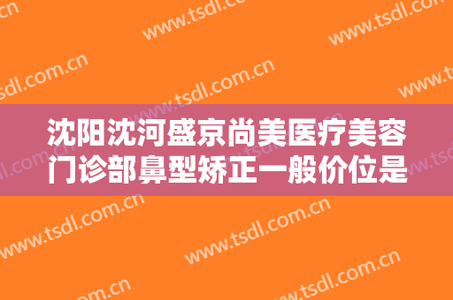 沈阳沈河盛京尚美医疗美容门诊部鼻型矫正一般价位是多少费用?好不好?