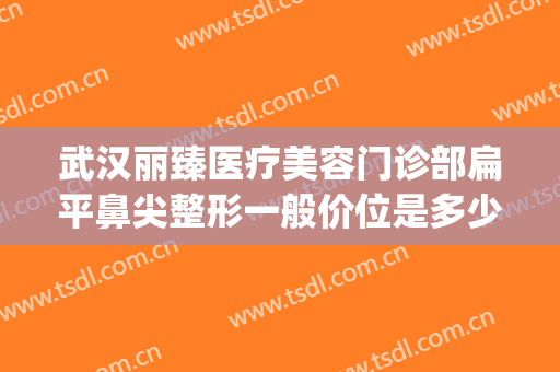 武汉丽臻医疗美容门诊部扁平鼻尖整形一般价位是多少钱?怎么样?(丽美整形美容医院)