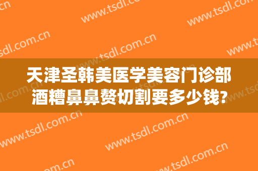 天津圣韩美医学美容门诊部酒糟鼻鼻赘切割要多少钱?怎么样?(酒糟鼻整形手术)