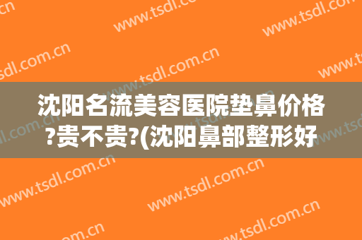 沈阳名流美容医院垫鼻价格?贵不贵?(沈阳鼻部整形好的医院)