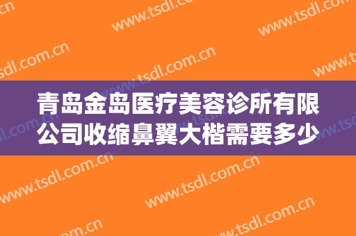 青岛金岛医疗美容诊所有限公司收缩鼻翼大楷需要多少钱?怎么样?(青岛金岛医疗整形美容医院)