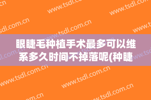眼睫毛种植手术最多可以维系多久时间不掉落呢(种睫毛可以维持多久)