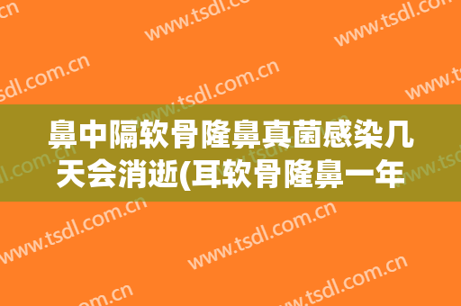 鼻中隔软骨隆鼻真菌感染几天会消逝(耳软骨隆鼻一年后鼻中隔脓肿)