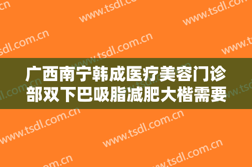广西南宁韩成医疗美容门诊部双下巴吸脂减肥大楷需要多少费用?靠谱吗?
