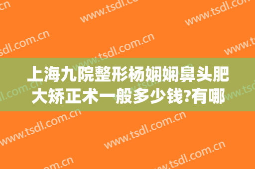 上海九院整形杨娴娴鼻头肥大矫正术一般多少钱?有哪些优势?(上海九院歪鼻矫正多少钱)
