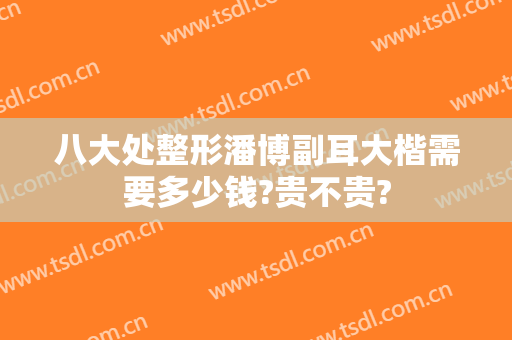 八大处整形潘博副耳大楷需要多少钱?贵不贵?