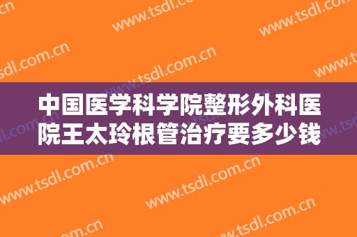 中国医学科学院整形外科医院王太玲根管治疗要多少钱?好不好?
