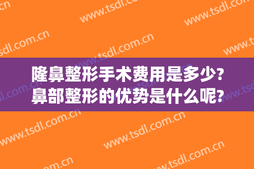 隆鼻整形手术费用是多少?鼻部整形的优势是什么呢?(隆鼻子手术费用一般是多少)