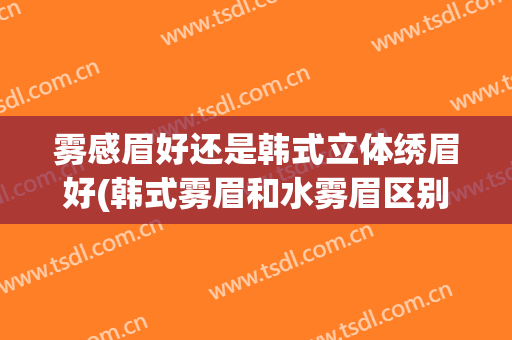 雾感眉好还是韩式立体绣眉好(韩式雾眉和水雾眉区别)