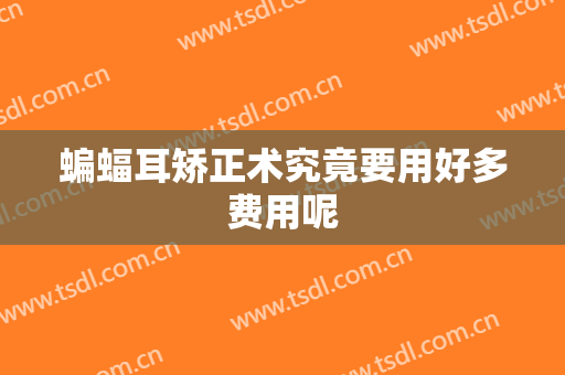 蝙蝠耳矫正术究竟要用好多费用呢