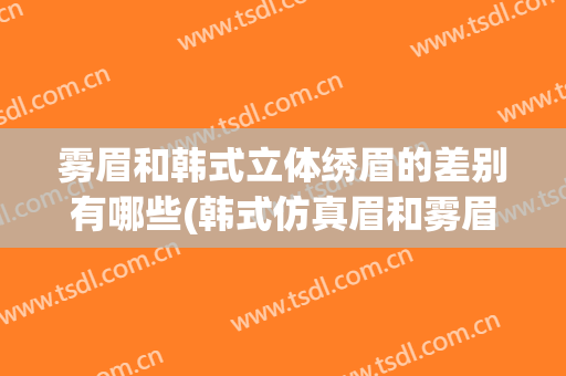 雾眉和韩式立体绣眉的差别有哪些(韩式仿真眉和雾眉区别)