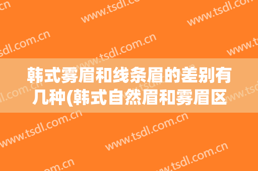 韩式雾眉和线条眉的差别有几种(韩式自然眉和雾眉区别)