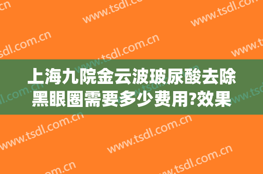 上海九院金云波玻尿酸去除黑眼圈需要多少费用?效果怎么样?(上海九院祛黑眼圈)