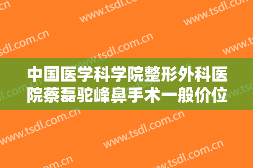 中国医学科学院整形外科医院蔡磊驼峰鼻手术一般价位是多少?贵不贵?