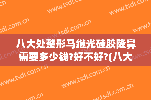 八大处整形马继光硅胶隆鼻需要多少钱?好不好?(八大处做个鼻子假体需要多少钱)