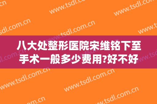 八大处整形医院宋维铭下至手术一般多少费用?好不好?(宋维明八大处整形医院)