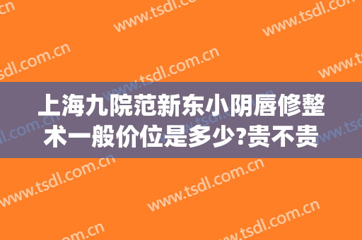 上海九院范新东小阴唇修整术一般价位是多少?贵不贵?(上海九院唇部整形价格)