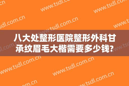 八大处整形医院整形外科甘承纹眉毛大楷需要多少钱?怎么样?