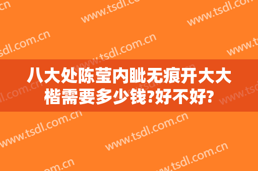 八大处陈莹内眦无痕开大大楷需要多少钱?好不好?