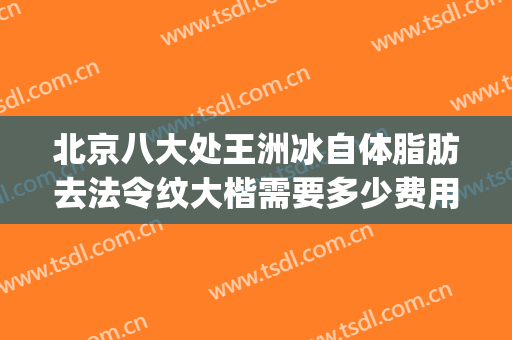 北京八大处王洲冰自体脂肪去法令纹大楷需要多少费用?靠谱吗?(北京八大处抽脂多少钱)
