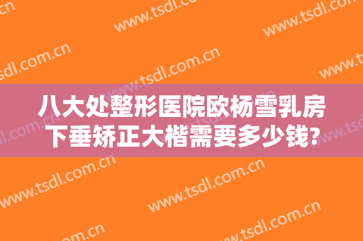 八大处整形医院欧杨雪乳房下垂矫正大楷需要多少钱?靠谱吗?